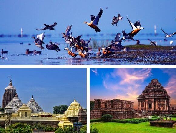 Puri-Konark-Chilika-Tour